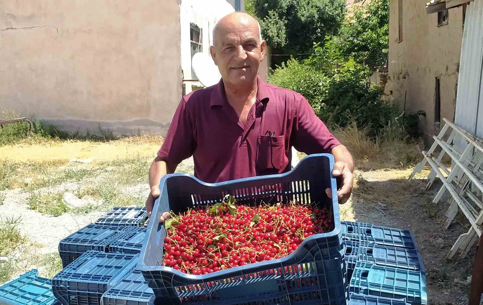 Hisarcık’ta vişne alımlarına başlandı