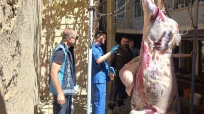 KÜTAHYA İL TARIM VE ORMAN MÜDÜRLÜĞÜNCE 261 SAHA DENETİMİ YAPILDI