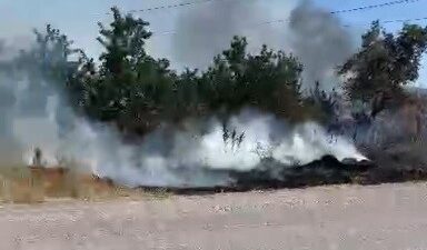 KÜTAHYA'NIN TAVŞANLI İLÇESİNDE OTLUK ALANDA ÇIKAN YANGIN KISA SÜREDE SÖNDÜRÜLDÜ.