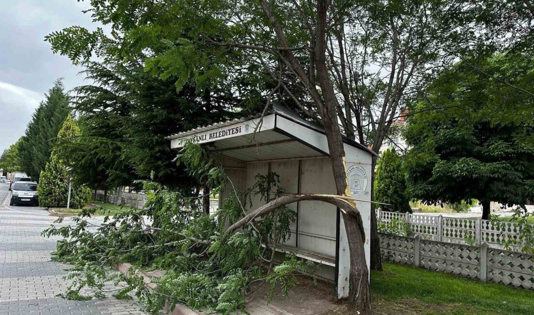 TAVŞANLI'DA ŞİDDETLİ RÜZGAR AĞAÇLARIN