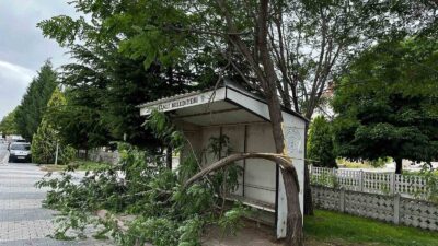 TAVŞANLI'DA ŞİDDETLİ RÜZGAR AĞAÇLARIN DALLARINI KIRDI