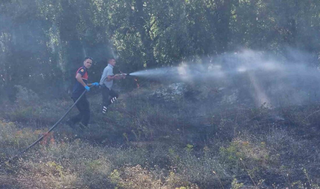 DOMANİÇ İMAM HATİP LİSESİ ÖNÜNDEKİ TARLADA ÇIKAN YANGIN KORKUTTU.