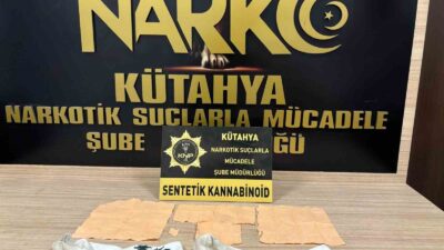 KÜTAHYA'DA 3 BİN 844 İÇİMLİK KAĞIDA EMDİRİLMİŞ BONZAİ ELE GEÇİRİLDİ,