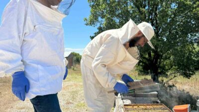 KÜTAHYA’DA ARICILIĞI GELİŞTİRME PROJESİ