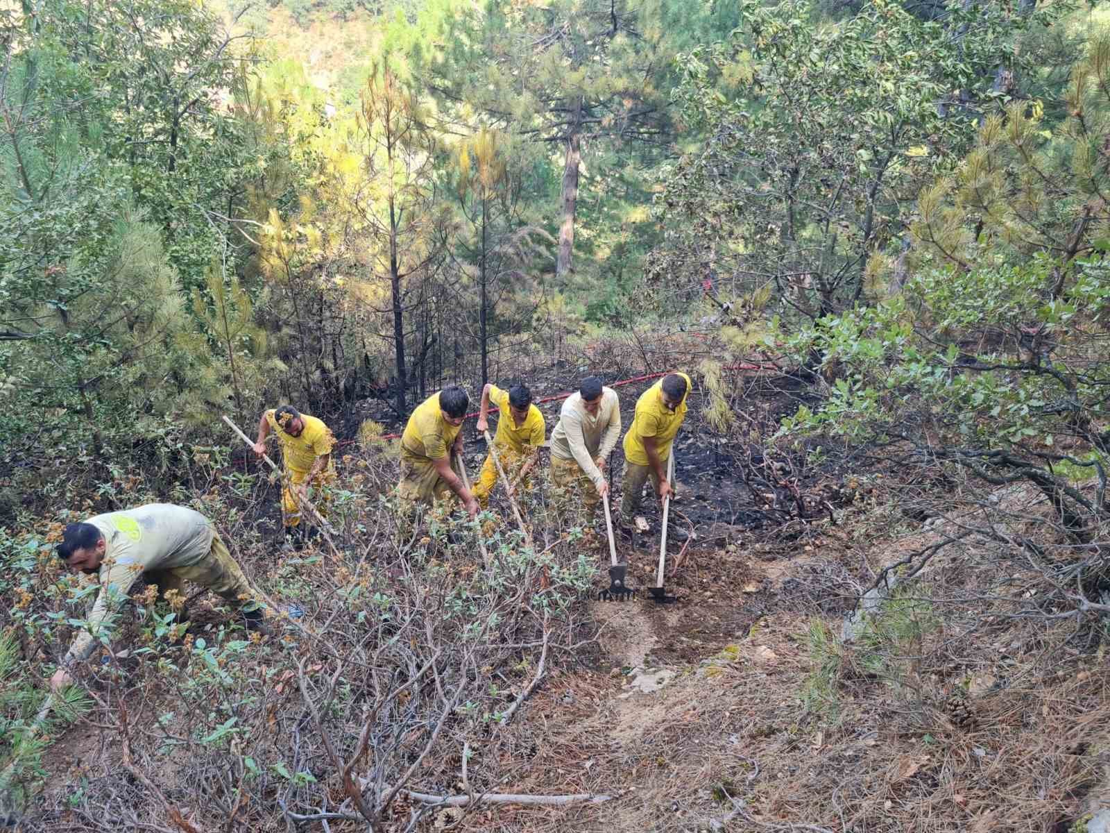 Kütahya’da iddiaya göre depoda çıkan yangın Kestane Dağı eteklerine sıçradı