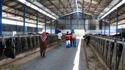 KÜTAHYA’DA KKYDP 15. ETAP PROJELERİNİN YATIRIM YERİ KONTROLLERİ