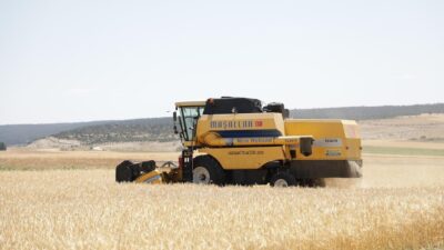 KÜTAHYA'DA YERLİ ARPA ÇEŞİDİ AYRANCI’NIN HASADI YAPILDI