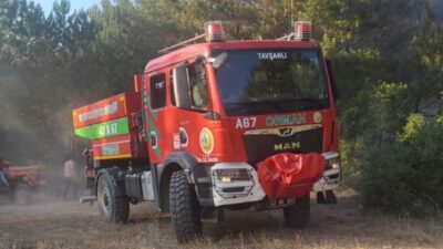 TAVŞANLI İLÇESİNDE ORMAN YANGINI
