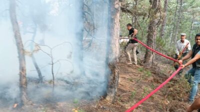 KÜTAHYA'NIN TAVŞANLI İLÇESİNE BAĞLI ÜYÜCEK KÖYÜ YAKINLARINDA ÇIKAN ORMAN YANGINI