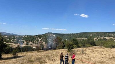 EMET’TE ORMAN YANGINI