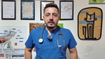 GEDİZLİ VETERİNER HEKİM SOSYAL SORUMLULUK PROJESİNE DESTEK BEKLİYOR