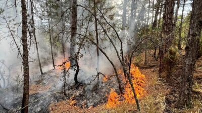 KÜTAHYA’DA YILDIRIM KAYNAKLI ÇIKAN 8 AYRI ORMAN YANGINI, EKİPLERİN 15