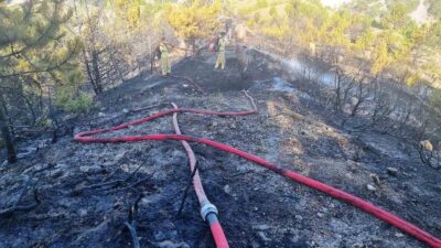 KÜTAHYA VE ÇAVDARHİSAR’DA ORMAN VE ZİRAAT YANGINLARI