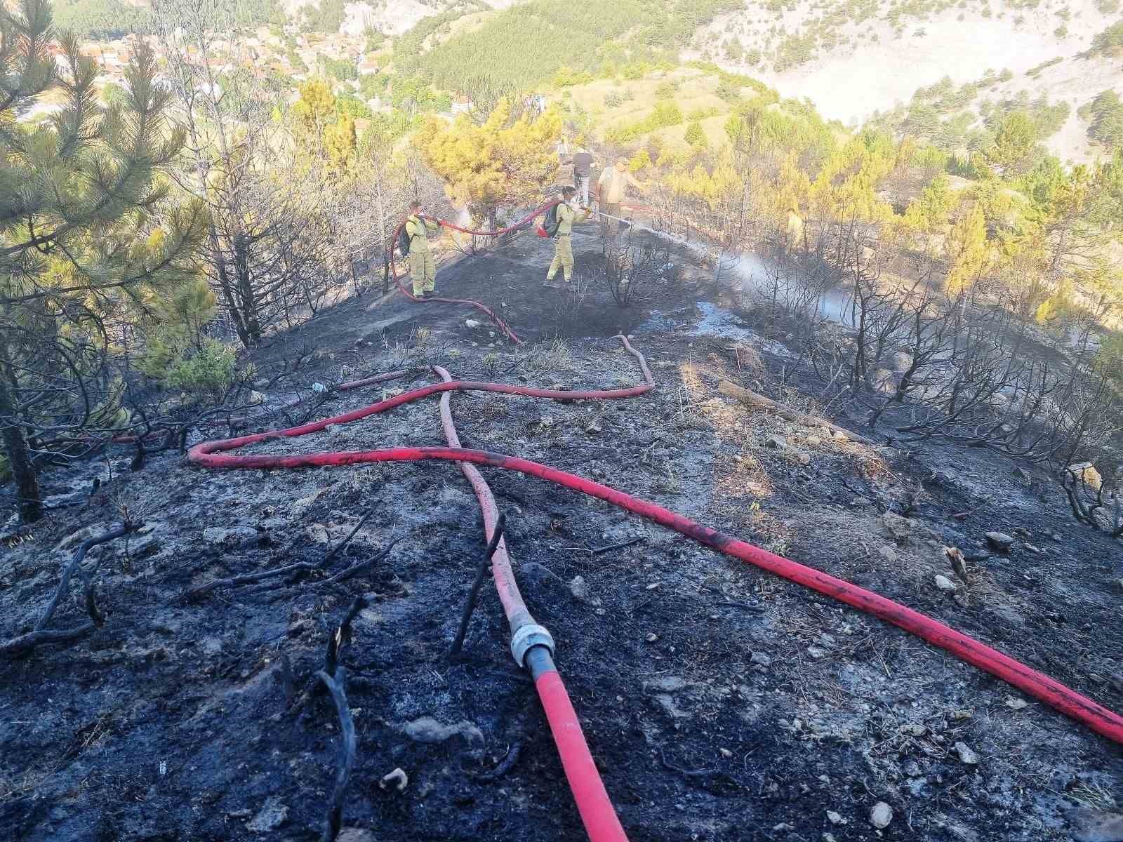 Kütahya’da iki ayrı noktada yangın