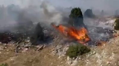 KÜTAHYA'DA ORMAN YANGINI: 10 DEKAR ALAN ZARAR GÖRDÜ