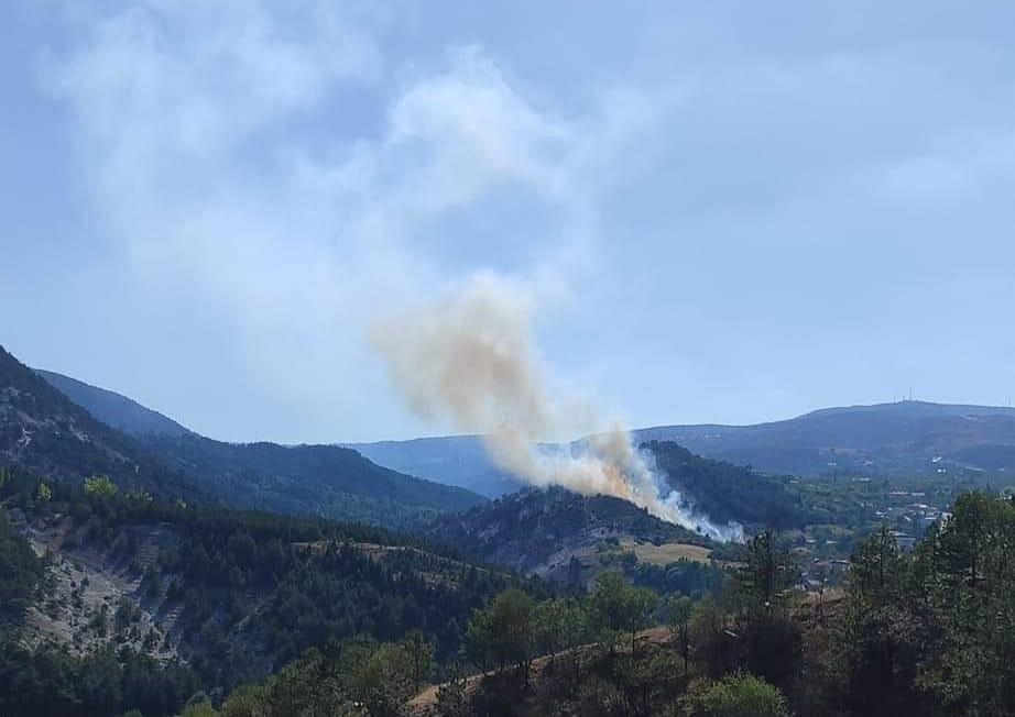 Kütahya’da orman yangını