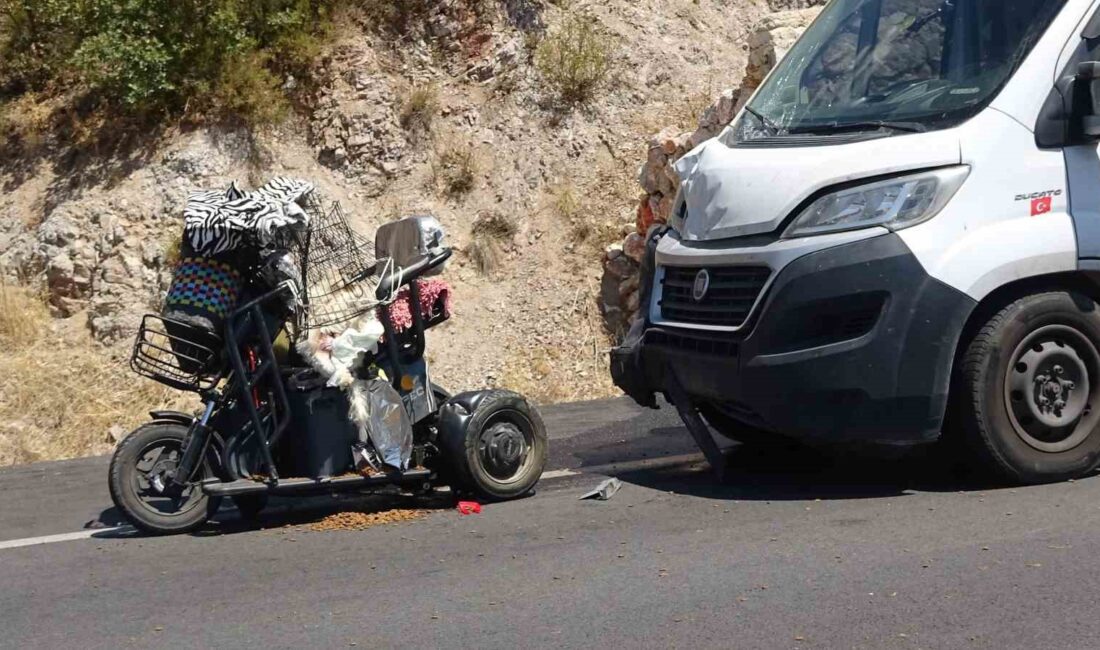 TAVŞANLI'DA TRAFİK KAZASI 1