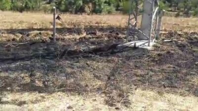 TAVŞANLI'DA KUŞUN YOL AÇTIĞI YANGIN SÖNDÜRÜLDÜ