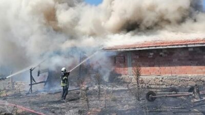 TAVŞANLI’DA OT YANGINI BOŞ BESİ DAMINA SIÇRADI