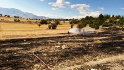 EMET'TE YÜKSEK GERİLİM HATLARINA ÇARPAN KUŞLAR ARAZİ YANGININA NEDEN OLDU