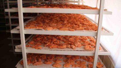 GEDİZ TARHANASI AVRUPA YOLUNDA