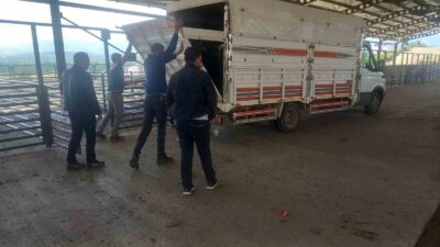 GEDİZ’DE HAYVAN PAZARI KONTROLLÜ OLARAK AÇILDI
