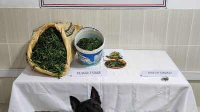 KÜTAHYA'NIN SİMAV İLÇESİNDE JANDARMA TARAFINDAN GERÇEKLEŞTİRİLEN OPERASYONDA 4 BİN 900