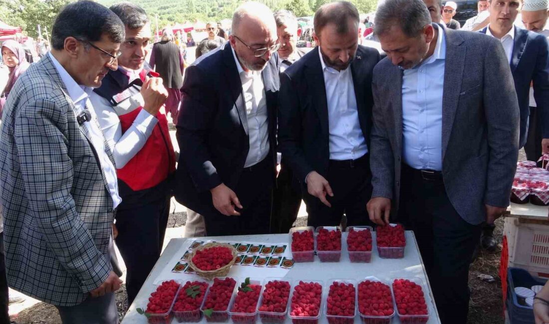 KÜTAHYA'DA DÜZENLENEN AHUDUDU ŞENLİĞİ