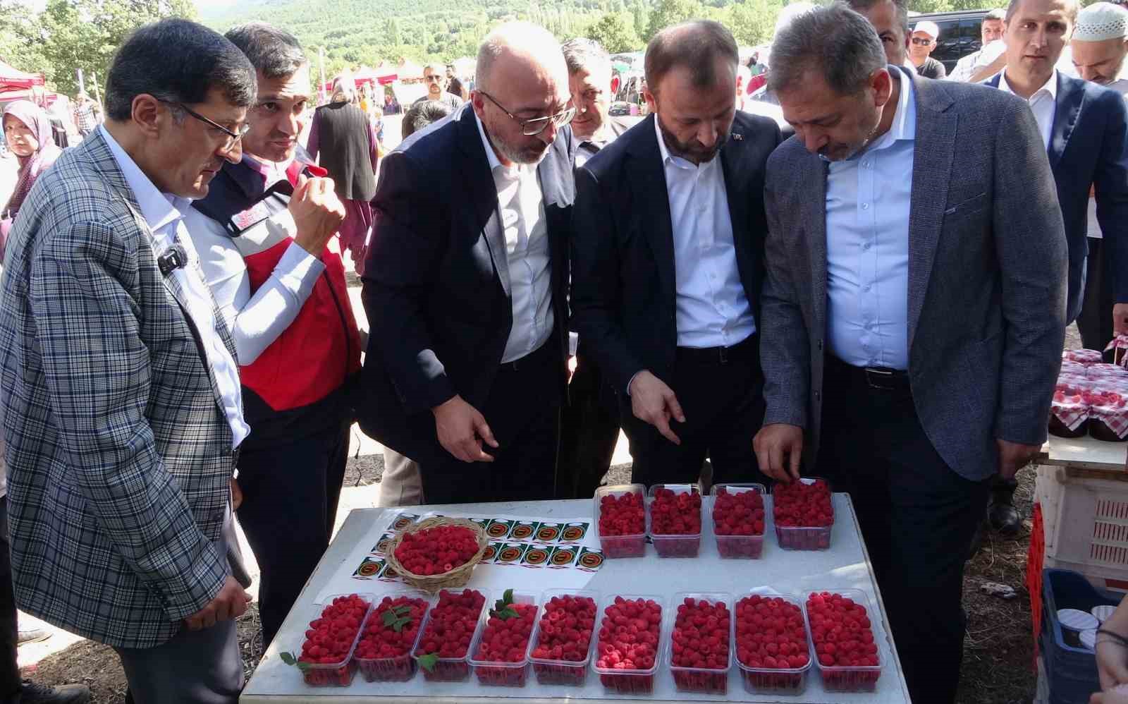 Kütahya’da ’Ahududu Şenliği’ renkli görüntüler oluşturdu