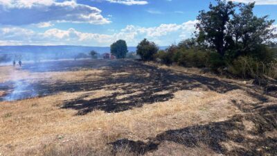 DOMANİÇ’TEKİ ANIZ YANGININDA 3 DÖNÜM ARAZİ ZARAR GÖRDÜ