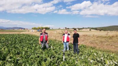 KÜTAHYA’DA ŞEKERPANCARI EKİM SAHALARINDA DENETİM VE TESPİT