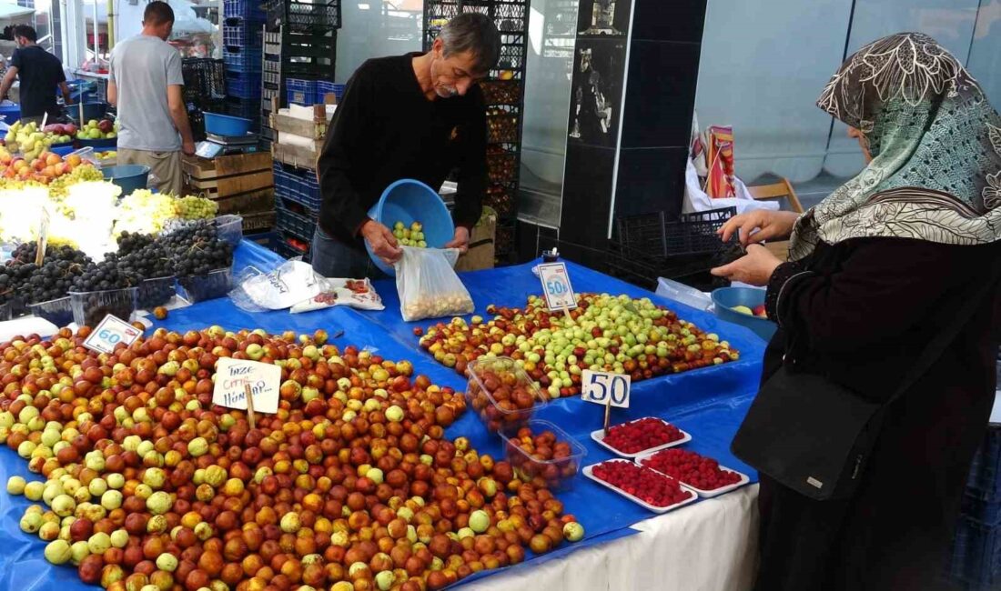 ŞİFA DEPOSU HÜNNAP TEZGAHLARDA