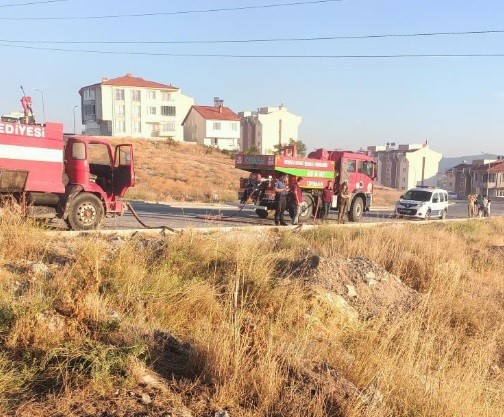 KÜTAHYA’NIN TAVŞANLI İLÇESİNDE ORMANA