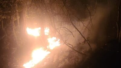 KÜTAHYA’NIN TAVŞANLI İLÇESİNDE ÇIKAN ORMAN YANGINI KISA SÜREDE SÖNDÜRÜLDÜ
