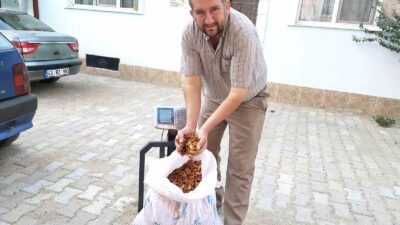 HİSARCIK ELMA KURUSUNUN FİYATI 35 TL’YE YÜKSELDİ