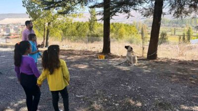 HİSARCIK’TA ÖZEL ÖĞRENCİLERE HAYVANLAR TANITILDI