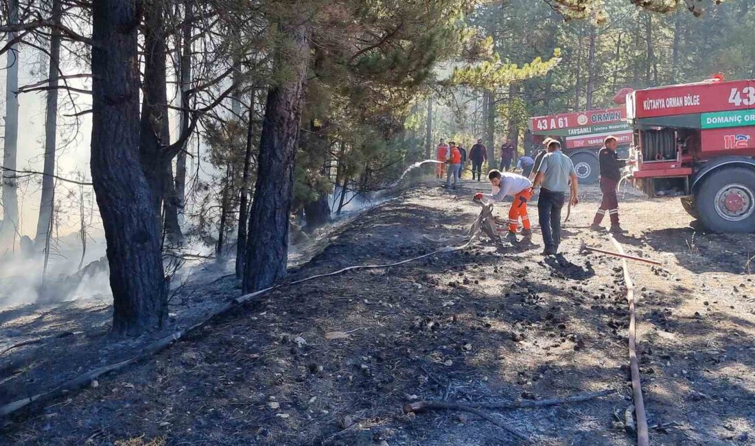 KÜTAHYA’NIN DOMANİÇ İLÇESİ DUABEY