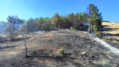 Mustafa AKÇAY/HİSARCIK (Kütahya), – KÜTAHYA’nın Hisarcık ilçesi Karbasan köyü yakınlarındaki