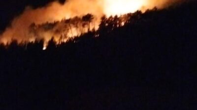 Oğuzhan KILIÇ/ KÜTAHYA, – KÜTAHYA’nın Tavşanlı ilçesinde orman yangını çıktı.