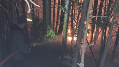 Tuna İŞLEYEN-Oğuzhan KILIÇ/TAVŞANLI (Kütahya), – KÜTAHYA’nın Tavşanlı ilçesinde çıkan orman