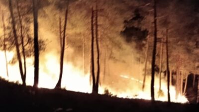 KÜTAHYA'NIN TAVŞANLI İLÇESİNDE ORMAN YANGINI KISA SÜREDE SÖNDÜRÜLDÜ