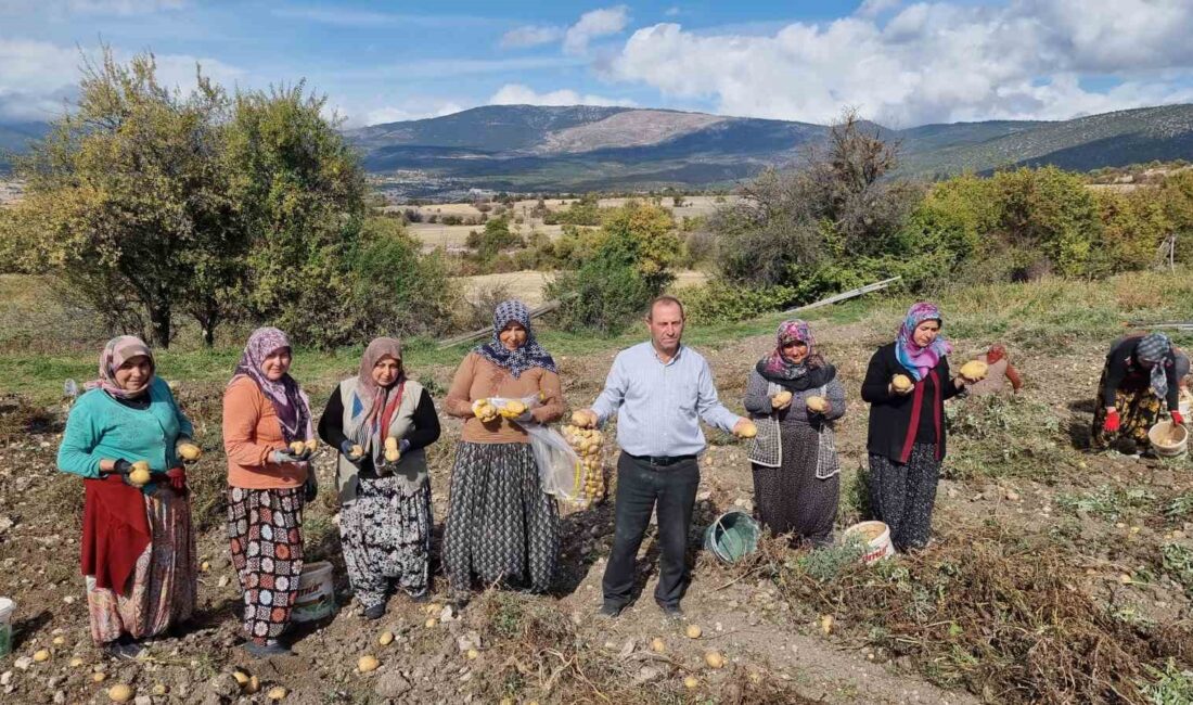 KÜTAHYA'NIN DOMANİÇ İLÇESİ MURATLI