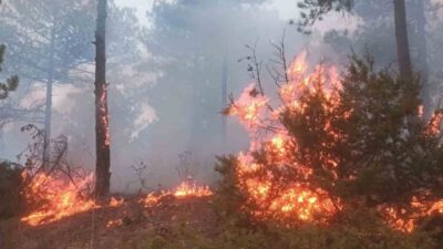 KÜTAHYA'NIN PAZARLAR İLÇESİ KIRSALINDA YER ALAN KAYAALTI MEVKİ, ORHANLAR GÖLETİNİN