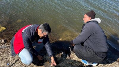 ŞAPHANE GÖLETLERİNDE SU ÜRÜNLERİ KONTROLÜ