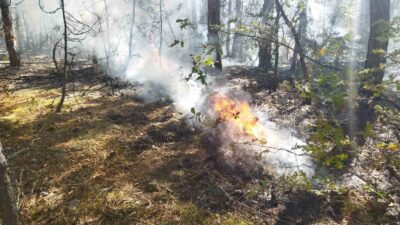 TAVŞANLIDA YILDIRIM KAYNAKLI ÇIKAN 4 YANGIN BÜYÜMEDEN SÖNDÜRÜLDÜ