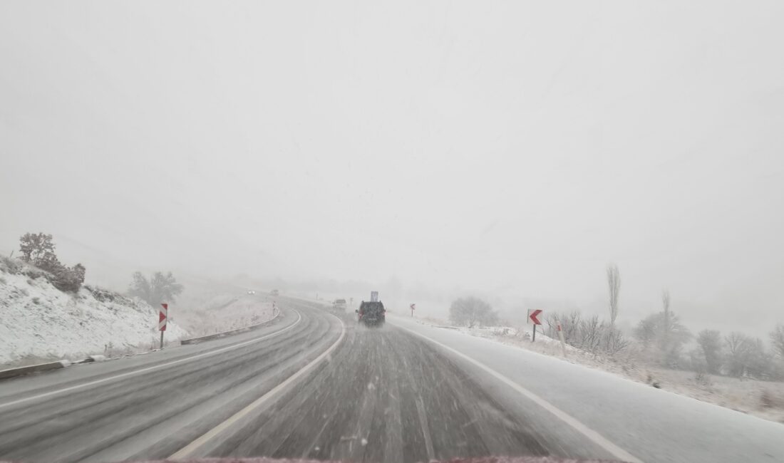 DAĞ YOLU AĞIR VASITALARA