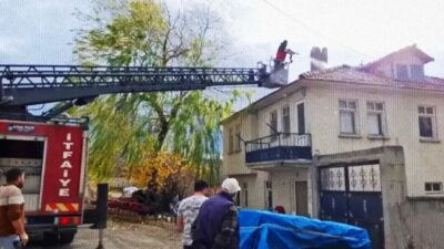 EMET’TE BACA YANGINI KORKUTTU