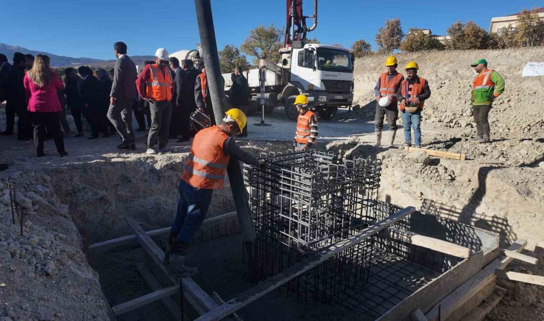 GEDİZ SAĞLIK HİZMETLERİ MESLEK