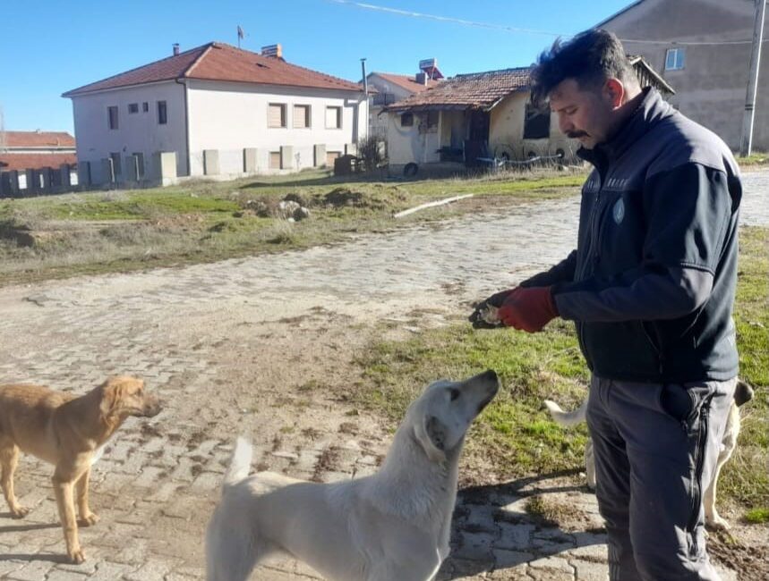 GEDİZ’DE ÖZEL İDARE ÇALIŞANLARINDAN