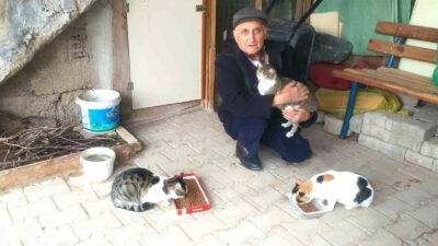 HİSARCIK’TA EMEKLİ GECE BEKÇİSİ SOKAK KEDİLERİNİ BESLİYOR
